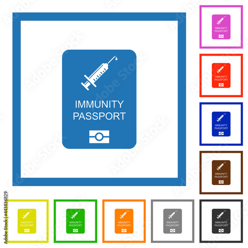 Immunity passport flat framed icons