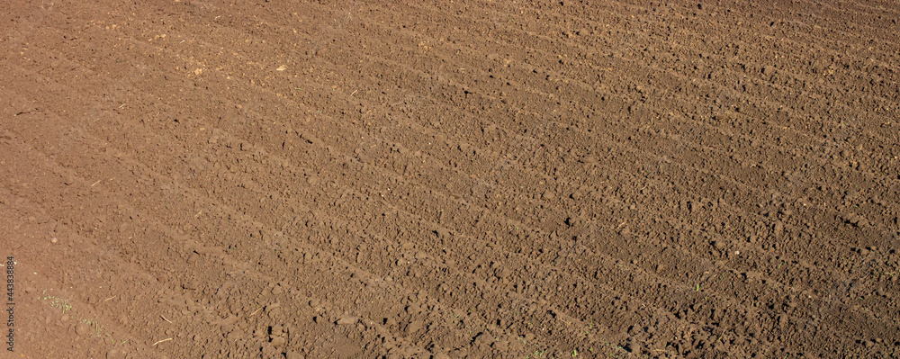 Naklejka premium Deep furrows in the field after plowing, wide view