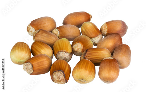Nuts hazelnuts on white background isolated