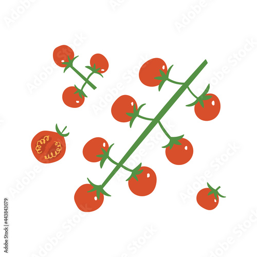 Cherry tomato set. Red fresh tomatoes: branch, half and slice. Flat hand drawn illustration of vegetables.