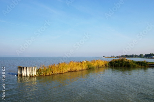 Beautiful coastal panorama by the lake or sea. The blue sky above the lake. Nature landscape, Beautiful autumn weather by the Neusiedler See, Austria. © stefanbalaz