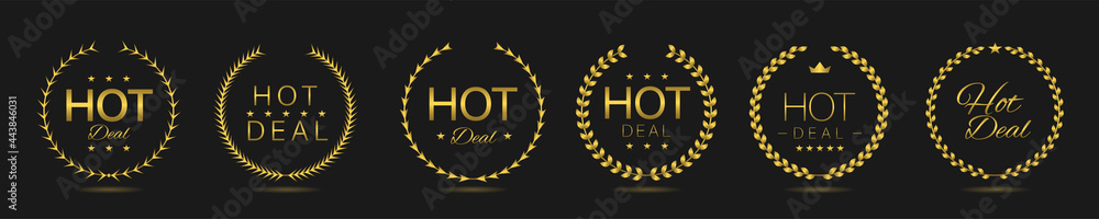 Fototapeta premium Hot deal Golden laurel wreath label set