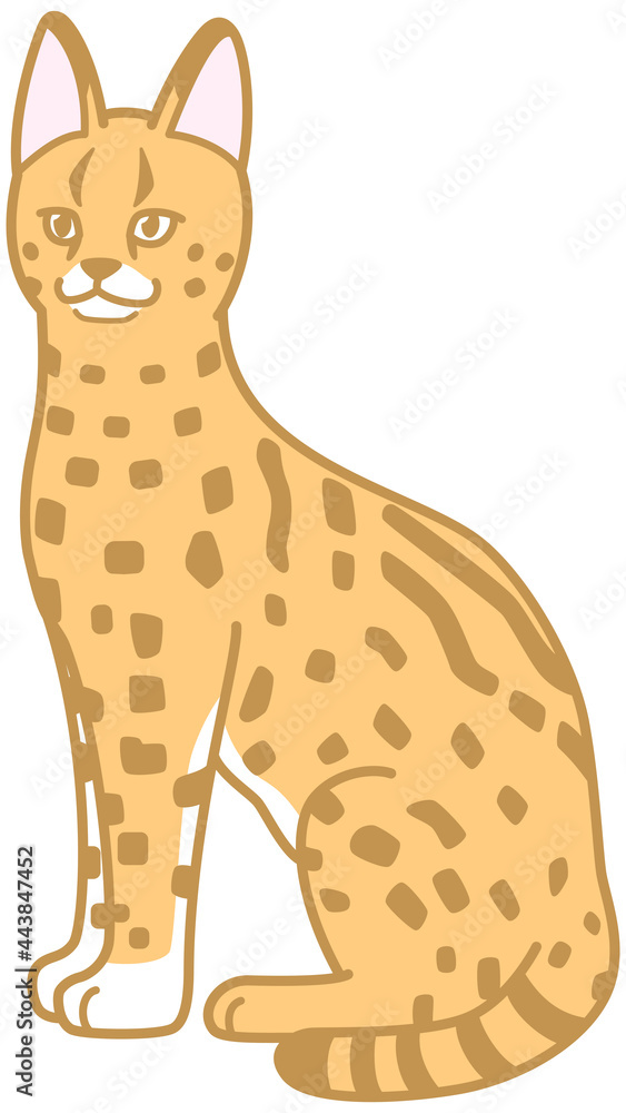 Fototapeta premium サーバル 猫科動物 イラスト