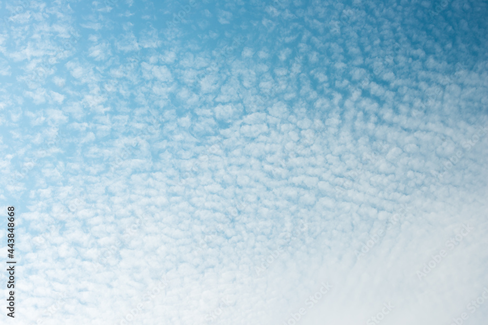 abstract sky background with near gradient clouds - or sheep-fleece clouds against as blue sky background