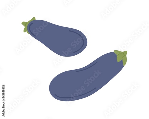 Fresh eggplants composition. Whole purple aubergines with stems. Raw brinjal vegetables. Veggie food. Flat vector illustration isolated on white background
