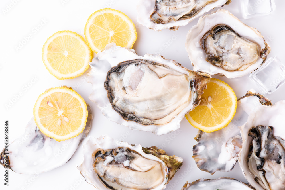 Raw oysters with lemon Raw oysters with lemon