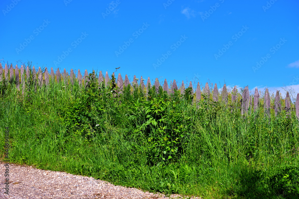 Fototapeta premium panorama of the val di funes south tyrol Italy