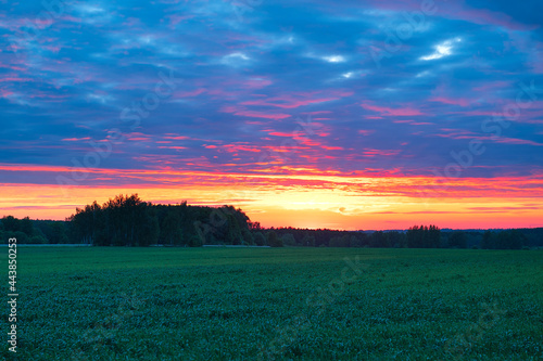 blue sunset over green field 