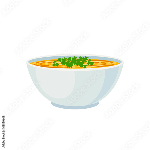 Vector Bowl of Orange Soup, Vegetable Soup Icon Isolated on White Background, Colorful Illustration.
