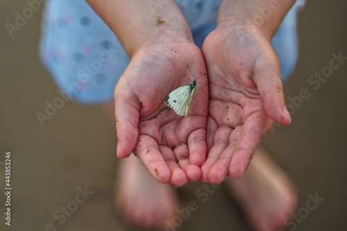 butterfly in children's hands