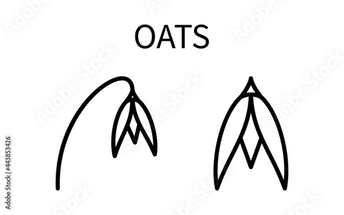 Line Icon Oat In A Simple Style. Vector sign in a simple style isolated on a white background. Original size 64x64 pixels.