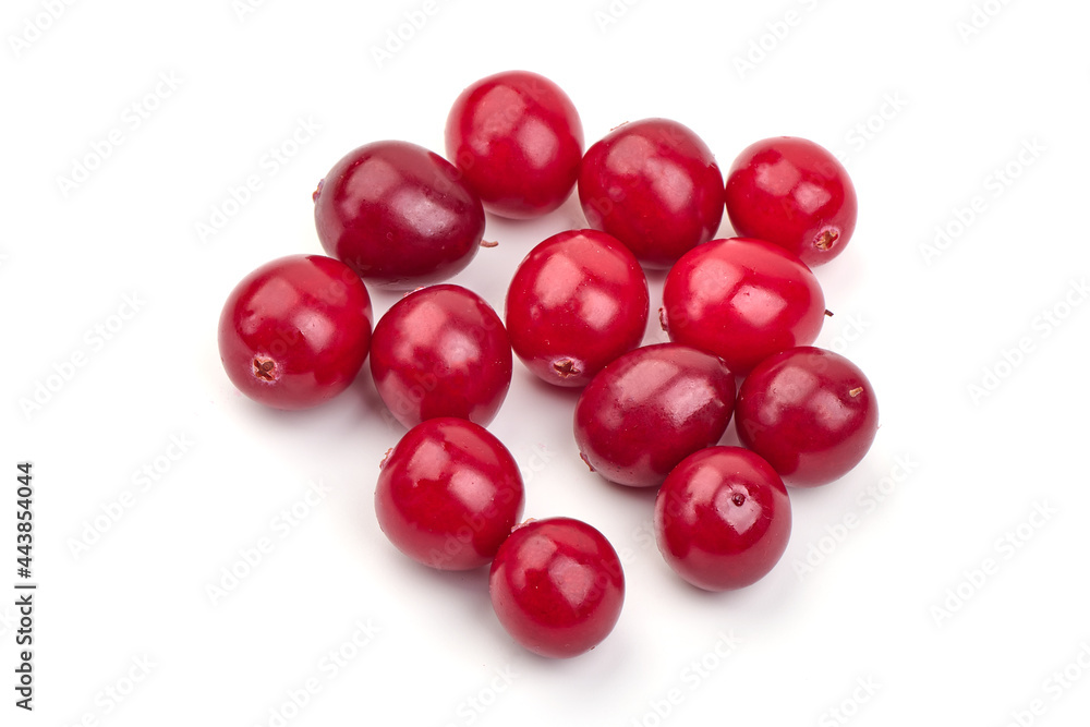 Cranberry, isolated on white background. High resolution image. Cranberry, isolated on white background. High resolution image.