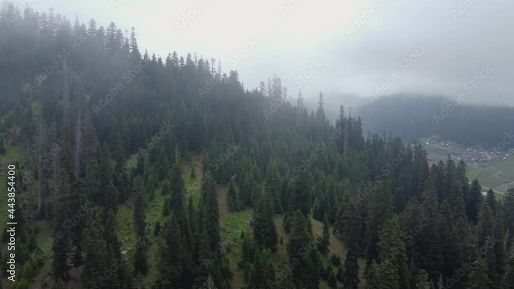 Cloud and forest aerial view Cloud and forest aerial view