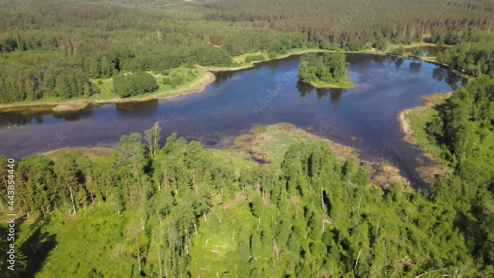 The view from the drone over the forest areas and the lake nestled among green trees.There is a small island on the lake and a small river flows through the lake The view from the drone over the forest areas and the lake nestled among green trees.There is a small island on the lake and a small river flows through the lake