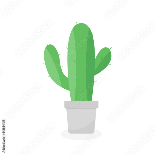 This is a cactus isolated on a white background.