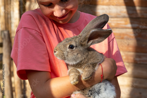 A child holding a cute gray rabbit looking at camera in a petting zoo or a farm. Feeding domestic animals. Breeding, love and caring for pets. Easter bunny in kindergarten for pets.