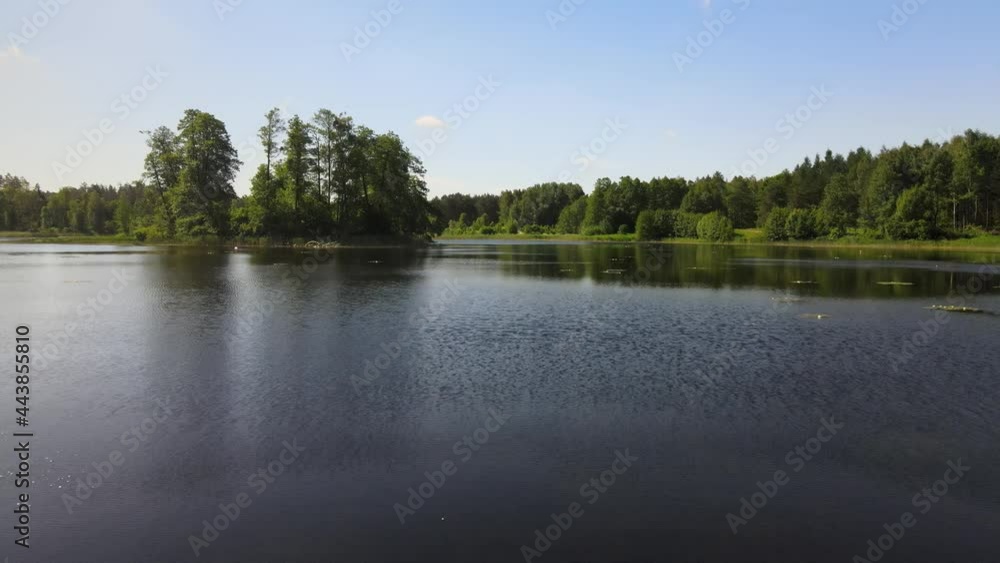 The view from the drone over the forest areas and the lake nestled among green trees.There is a small island on the lake and a small river flows through the lake The view from the drone over the forest areas and the lake nestled among green trees.There is a small island on the lake and a small river flows through the lake