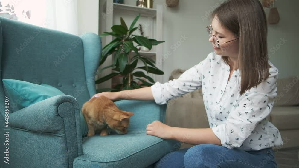 Woman stroking ginger cat lying on armchair at home Woman stroking ginger cat lying on armchair at home