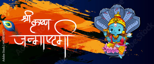 Celebrating happy Janmashtami festival of India with llustration of Lord Krishna playing bansuri (flute) and with text in Hindi meaning 'Shri Krishan Janmashtami'- vector background