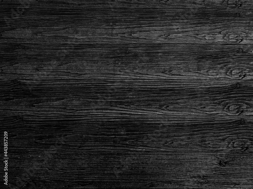 Old wood texture crack, gray-white tone. Use this for wallpaper or background image. There is a blank space for text.