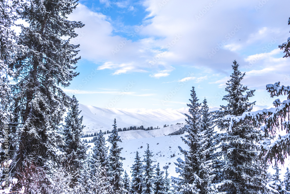 Winter landscape with snow covered mountains and trees 