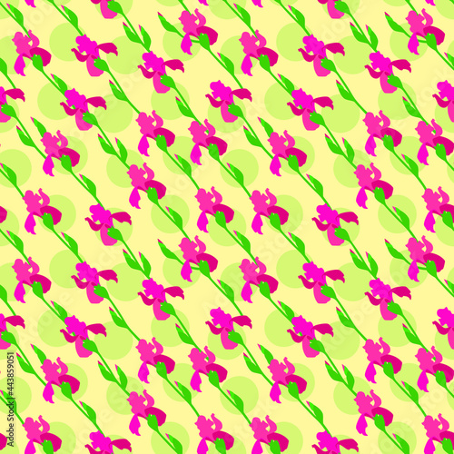 Pink flowers irises with leaves and buds on a yellow background. Seamless pattern. Vector illustration