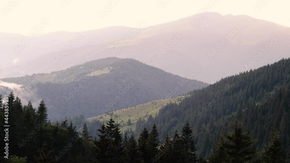 Rain in the mountains, a beautiful mountain landscape, a spruce forest during the rain, the Carpathians in the summer, a cloud over the hills
Rain in the mountains, a beautiful mountain landscape, a spruce forest during the rain, the Carpathians in the summer, a cloud over the hills