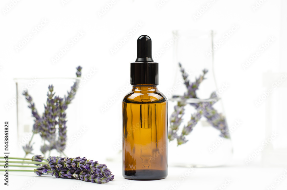 Lavender essential oil in a brown bottle with a dropper. Natural essential oil and lavender flowers on white background Lavender essential oil in a brown bottle with a dropper. Natural essential oil and lavender flowers on white background