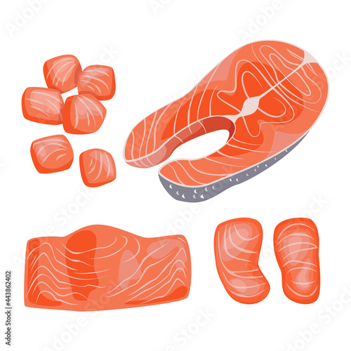 Salmon steak, fillet and pieces of fish, seafood.