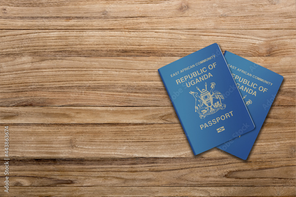 two Uganda passport on a wooden board two Uganda passport on a wooden board