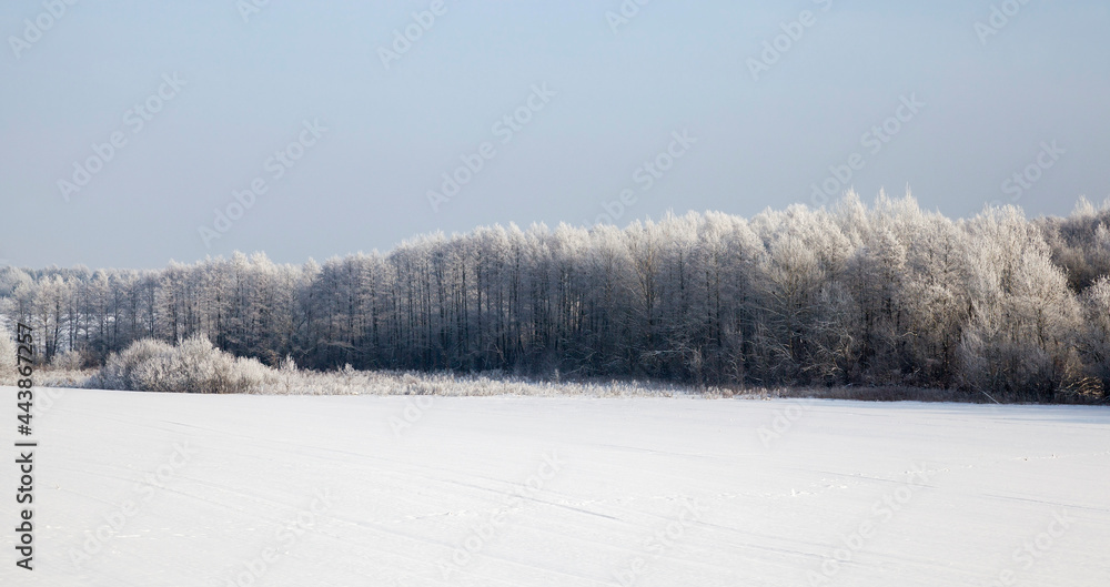 day in winter day in winter