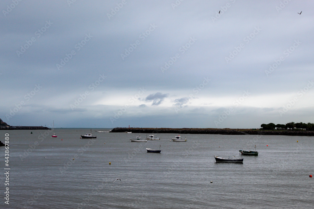 calm sea in a port, small boats are seen under a cloudy sky. houses on the coast