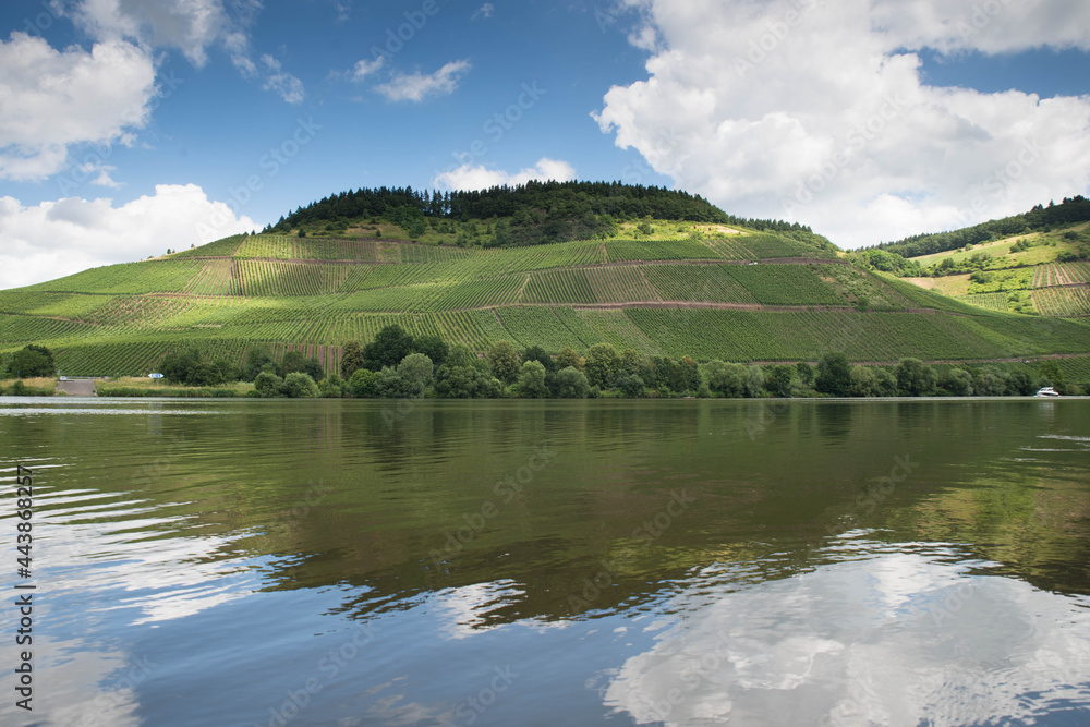 Landscape with the river Moselle and the vineyards close to Trier, rhine land palatine in Germany