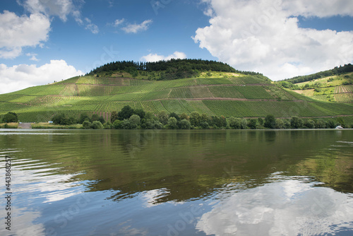 Landscape with the river Moselle and the vineyards close to Trier, rhine land palatine in Germany