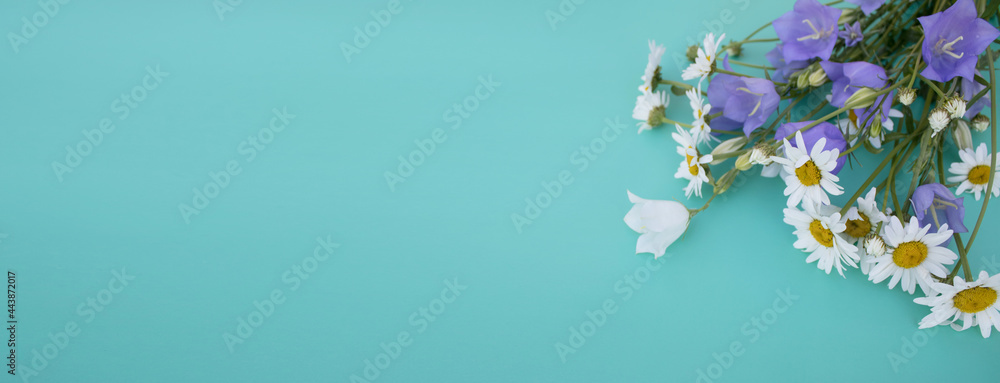 Delicate bouquet of wildflowers. Chamomiles, violet and white bell flowers are on blue or turquoise background. The concept of summer, Mother's Day, March 8, Easter, wedding. Greeting card. Copy space