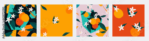 Trendy Seamless pattern set. Contemporary art collage of oranges with blossom flowers, leaves and geometric forms. Modern minimal design for print, paper, packaging, cover, fabric, interior decor