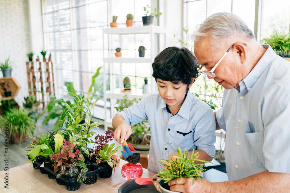 An Asian retired grandfather and his grandson spend quality time together at home. Enjoy taking care of the plants by scooping soil to prepare for planting. The family bond between children and adults An Asian retired grandfather and his grandson spend quality time together at home. Enjoy taking care of the plants by scooping soil to prepare for planting. The family bond between children and adults