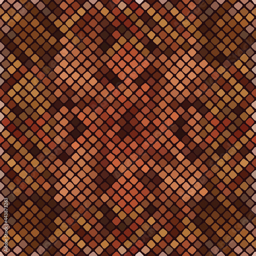 Pattern of vector mosaic in...