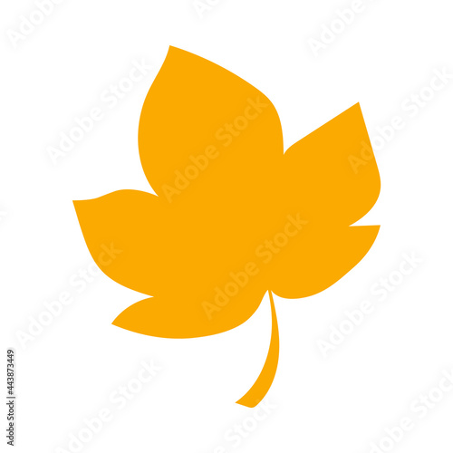 Autumn leaf, herbal element. Fall orange sycamore leaf. Can be used as sign, symbol, icon. Autumn botanical flat plant element, orange sycamore. Stock vector illustration isolated on white background.