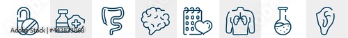 body parts line icons such as capsule, immunity drugs, large intestine, brain body organ, null, ear outline vector sign. symbol, logo illustration. linear style icons set. pixel perfect vector