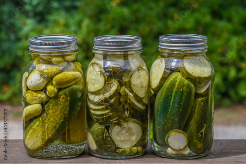 3 Jars of homemade dill pickles outside