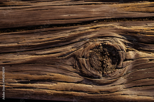 Beautiful wood texture of a dark shade