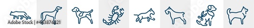 dog breeds fullbody line icons such as snowshoe cat, saluki, german shorthai pointer, scorpio, bulterrier, husky outline vector sign. symbol, logo illustration. linear style icons set. pixel perfect