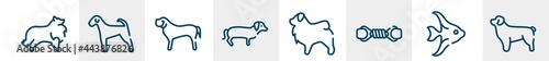 dog breeds fullbody line icons such as sheltie, aiale, english mastiff, dachshund, tibetan mastiff, newfoundland outline vector sign. symbol, logo illustration. linear style icons set. pixel perfect