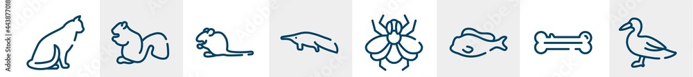 Fototapeta premium free animals line icons such as sitting cat, sitting squirrell, sitting mouse, anteater, big fly, wild duck outline vector sign. symbol, logo illustration. linear style icons set. pixel perfect