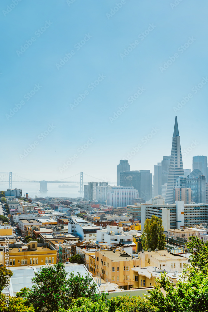 Panorama of the city of San Francisco from a high hill. view of downtown and transamerica tower