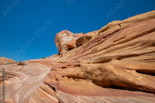 Pastel  Pink  Canyon  Valley of Fire State Park  Nevada