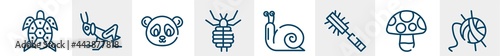 pet grooming line icons such as turtle, grasshopper, panda bear, louse, snail, wool outline vector sign. symbol, logo illustration. linear style icons set. pixel perfect vector graphics.