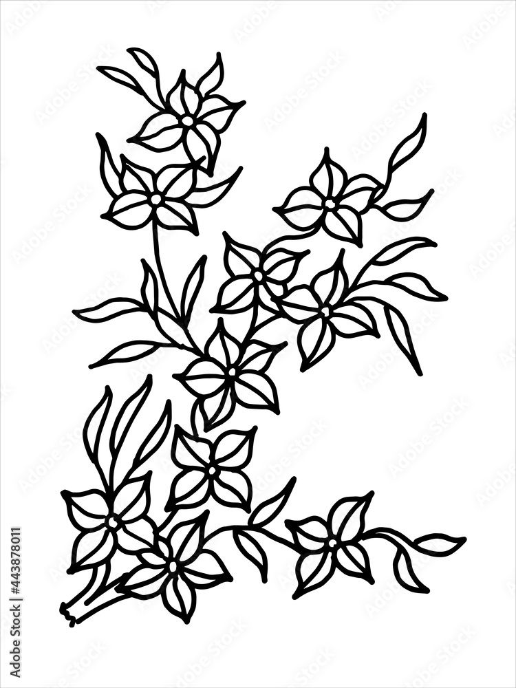 black and white flowers coloring page,