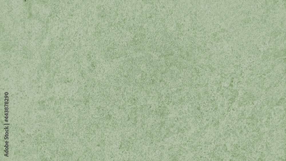 Fototapeta premium Background. Texture. Beautiful texture. Beautiful background. Green background.